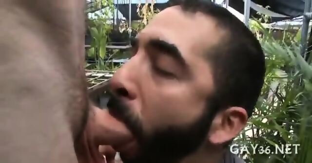 Hardcore Gay Fuck Scene