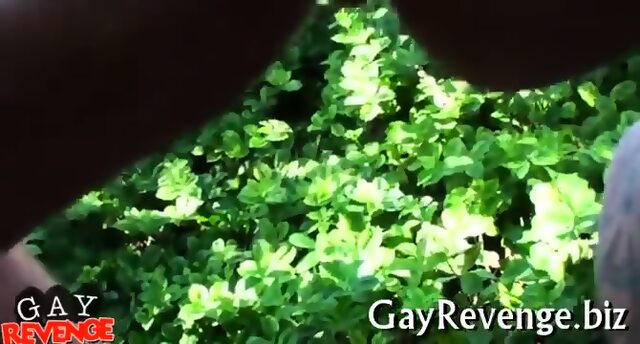 Gays Prefer Oral Sex Actions