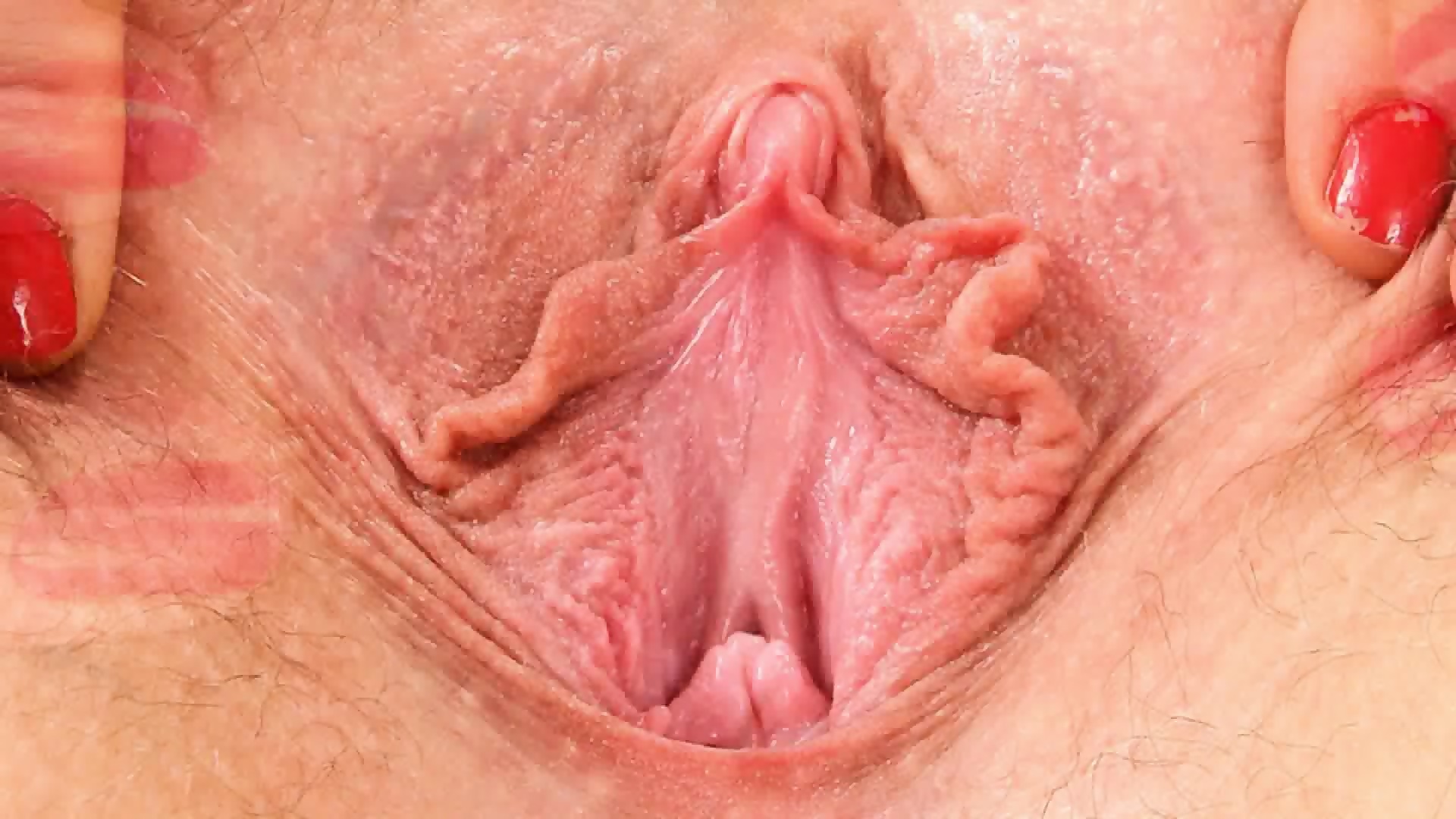 Closeup Vagina
