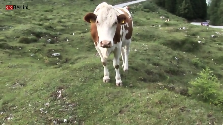 Silvie Delux Waits For Bull To Come Scene 6 Silvie Delux Waits For Bull To Come Scene 6