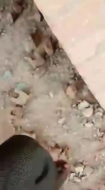 Indian Lover Caught Outdoor- Shocking Public Sex Videos