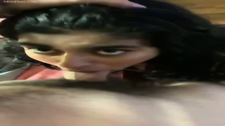Aja