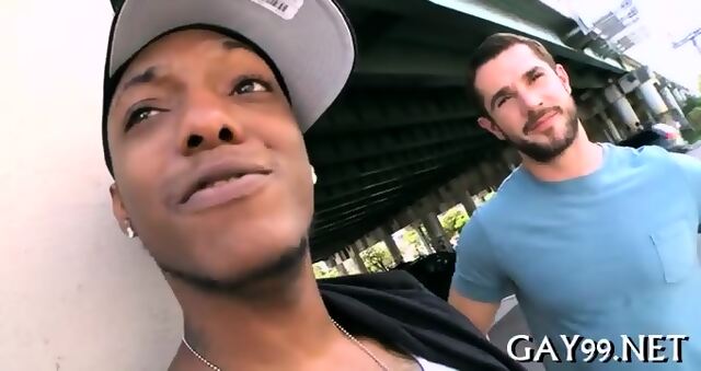Interracial Fun Of Gays