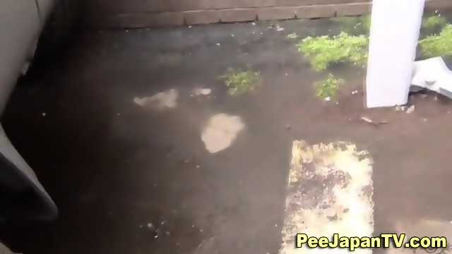 Japanese Sluts Pissing