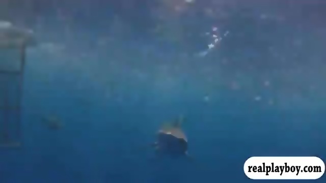 Shark Beach Babe Porn - Badass Babes Swimming In Shark Cage And Snowboarding Naked ...