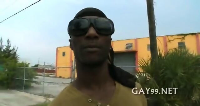 White & Black Gay Story