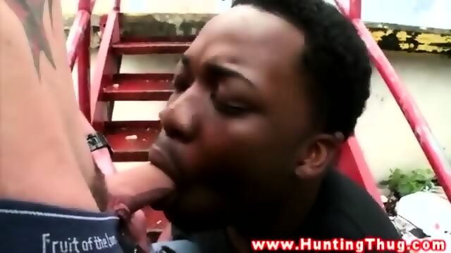 Ebony Stud Sucks White Dick After Being Offered Cash
