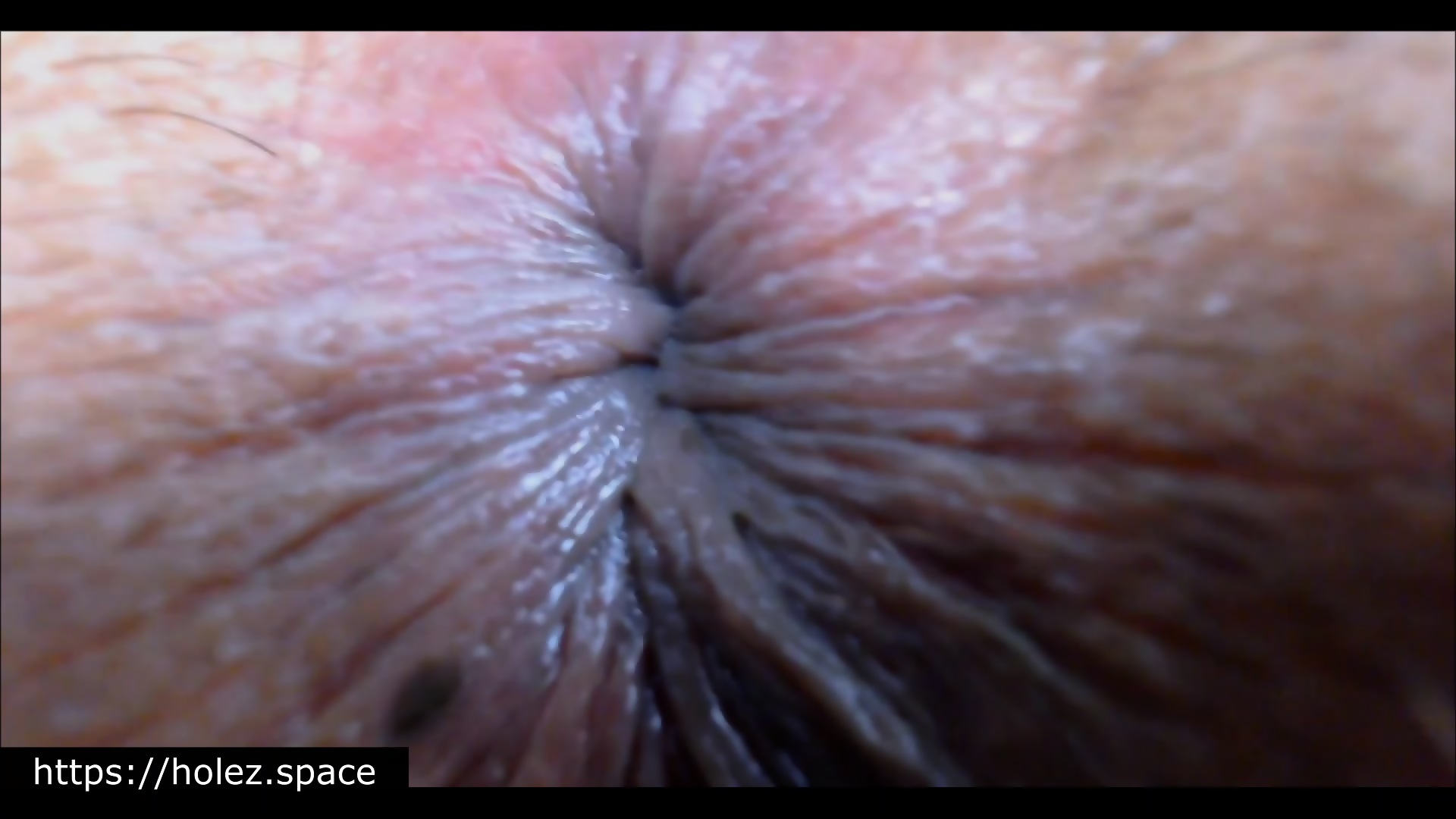 Asshole Close Up
