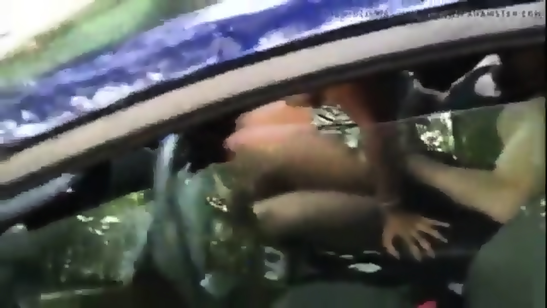 Ebony Wife Fucking White Bull In Car Public - Black Bull