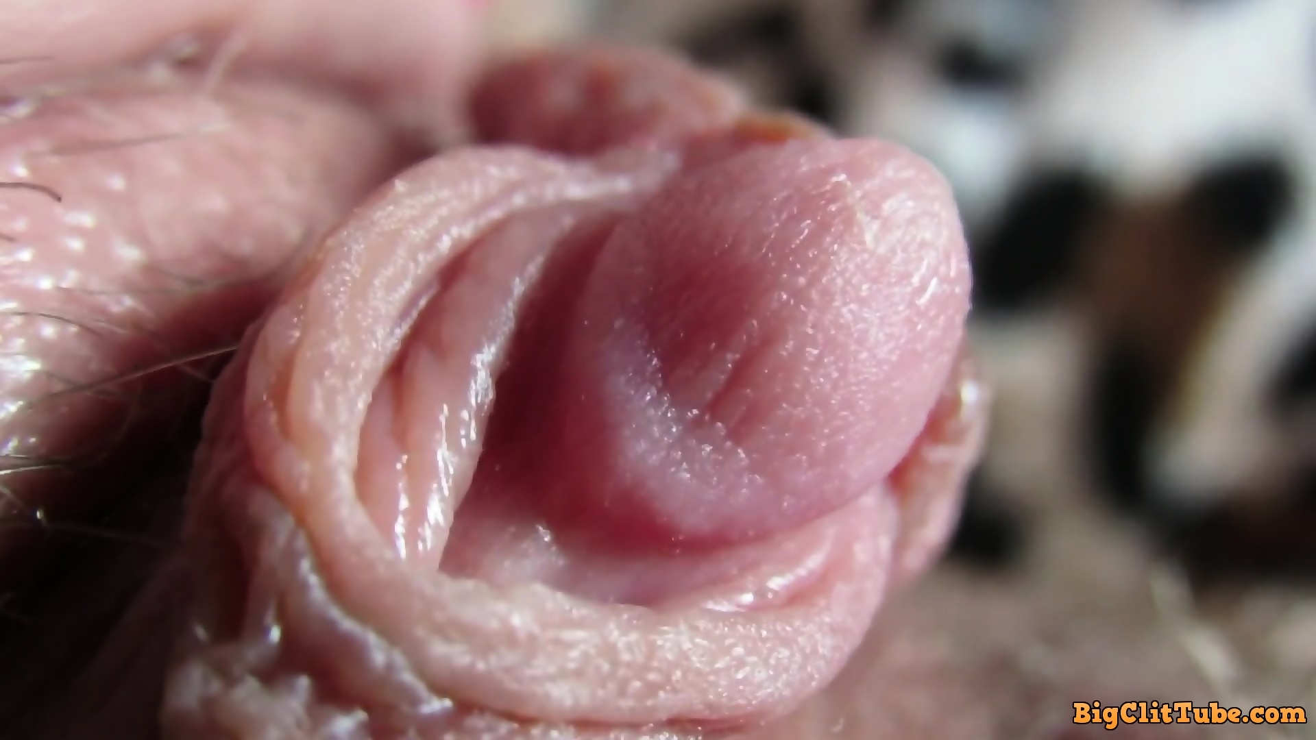 Pulsing Hard Clitoris In Extreme Close Up Eporner 