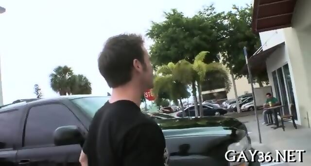 Two Sexual Gays Have Fun
