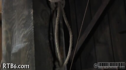 Wild Punishment For Slut