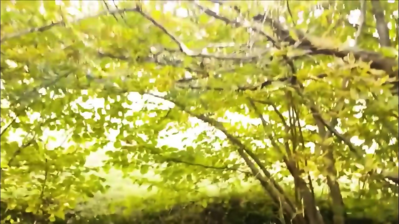 Fucked my wife on the golf course and came in her mouth image