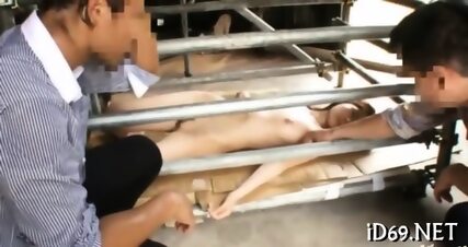 Untamed Group Fuck