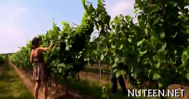 Seducing A Hard Pecker