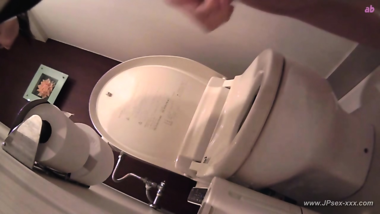 japan toilet liaison voyeur bowl