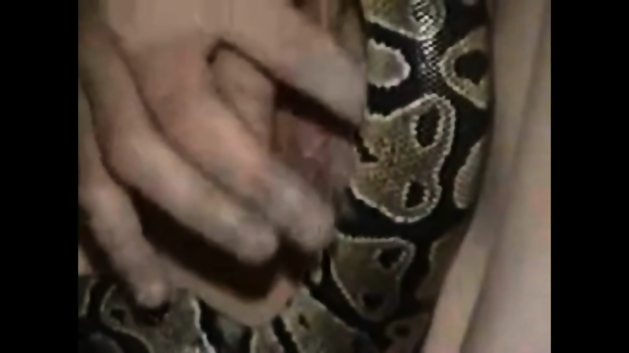 A Naked Girl Puts A Live Snake Inside Her Deep Pussy All The