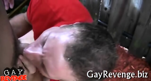 Gays Get Crazy When They Suck