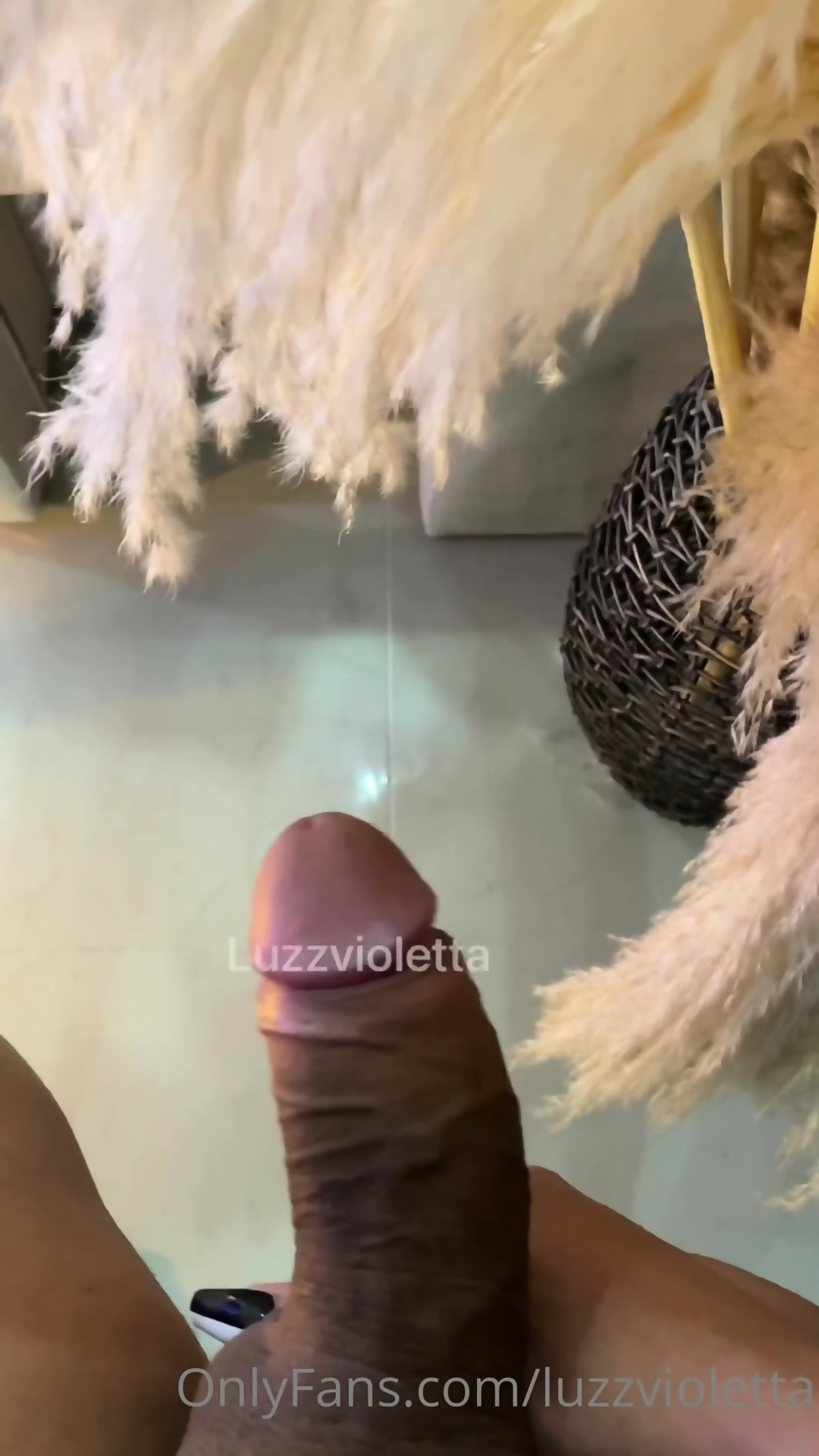 Slideshow luzz violetta porn hentai.