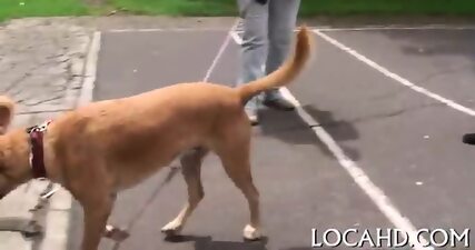 Juicy Babe Performs Dick-riding