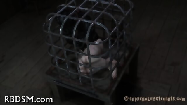 Tainting Twat With Torture