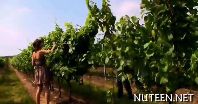 Seducing A Hard Pecker