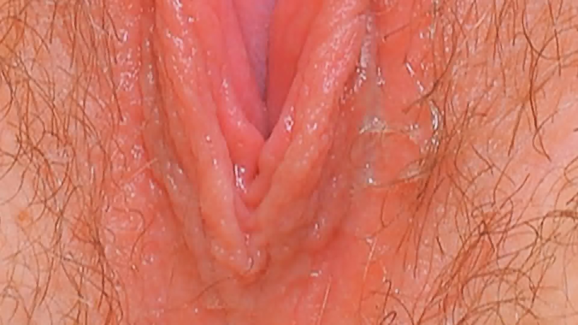 Female Textures Kiss Me Hd 1080p Vagina Close Up Hairy Sex Pussy