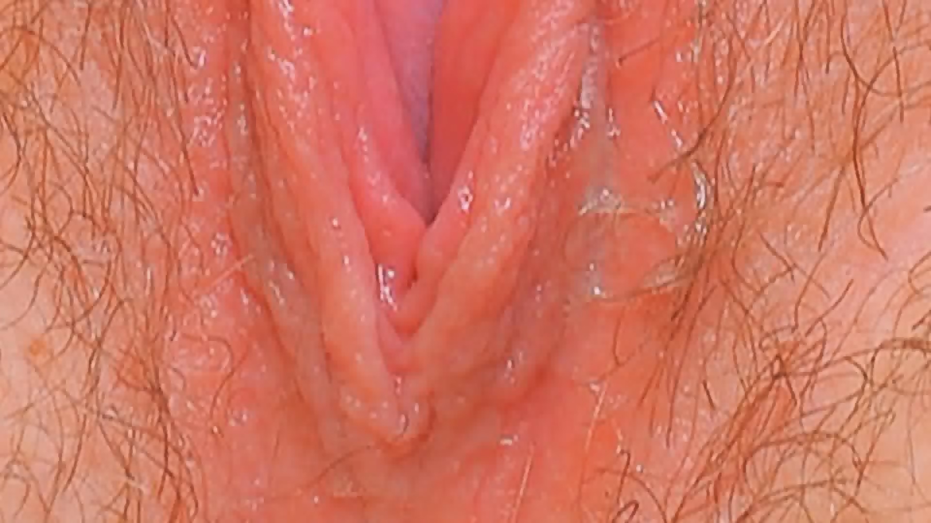 Female Textures Kiss Me Hd 1080p Vagina Close Up Hairy Sex Pussy By Rumesco Eporner