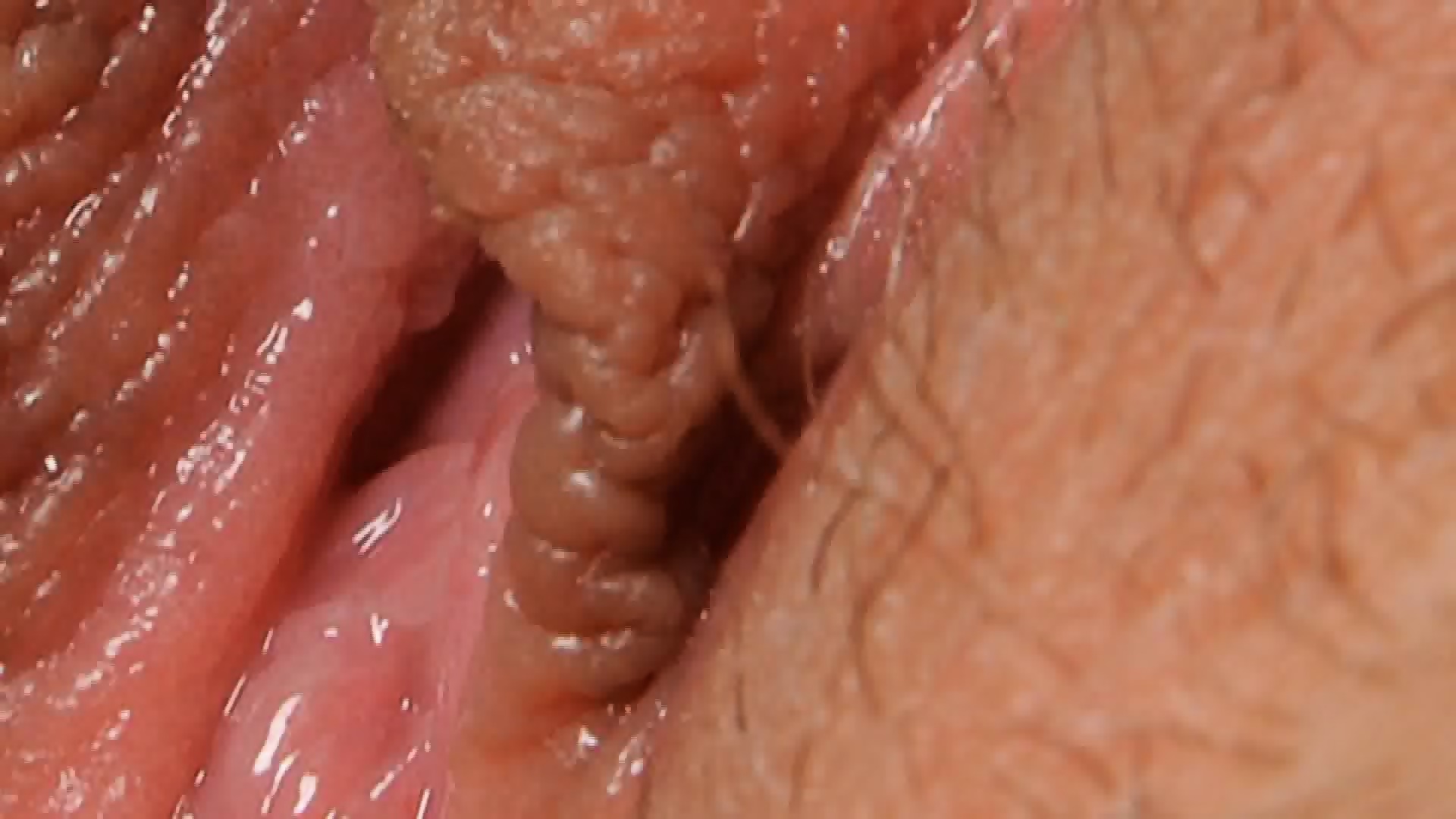 Female Textures Kiss Me Hd 1080p Vagina Close Up Hairy Sex Pussy By Rumesco Eporner