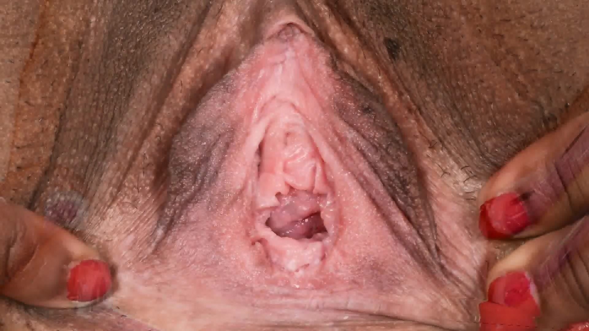 Female Textures Morphing 1 Hd 1080pvagina Close Up Hairy Sex Pussyby Rumesco Eporner