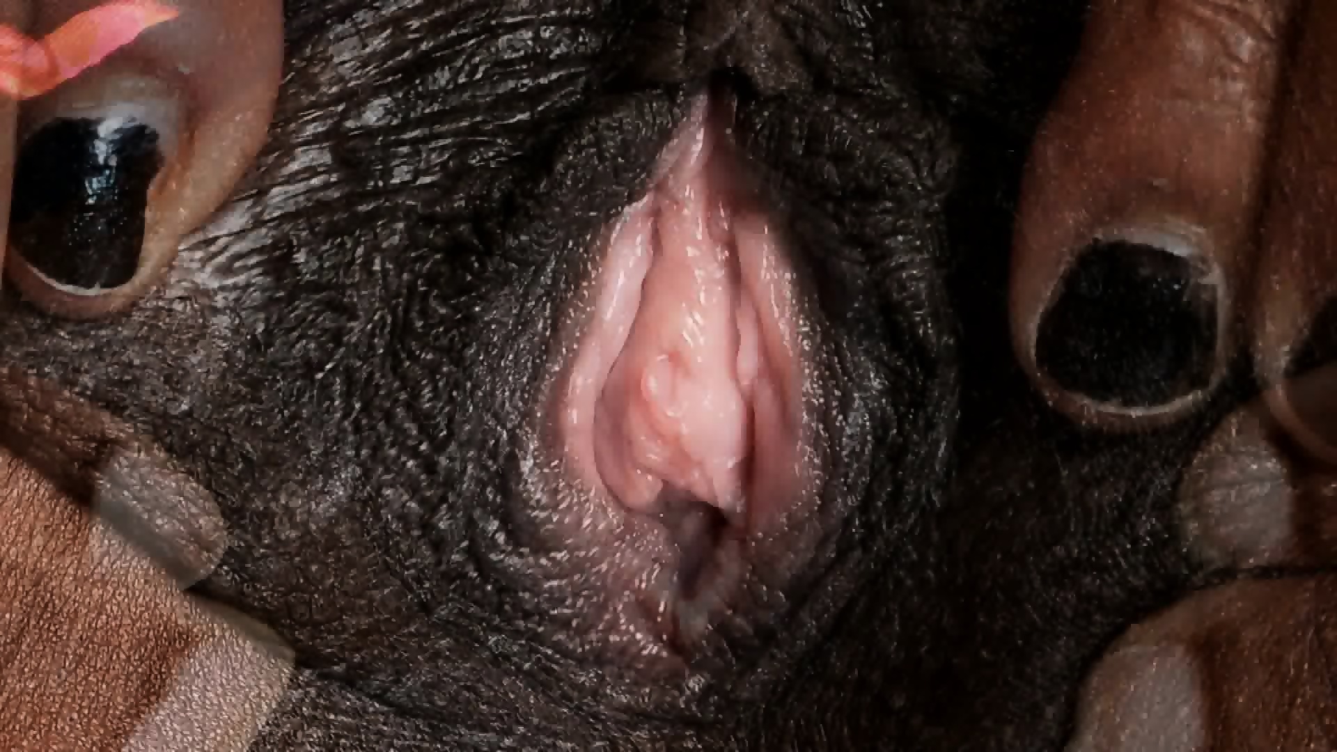 Female Textures Morphing 1 Hd 1080p Vagina Close Up