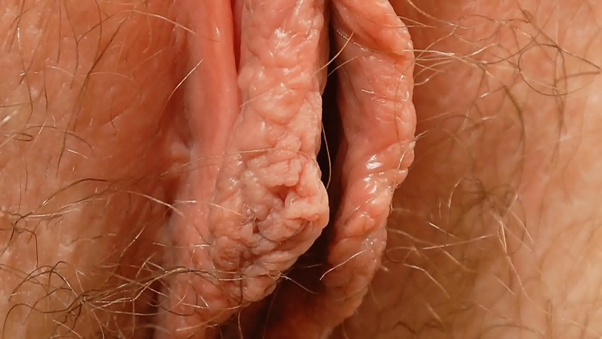 Female Textures - Stunning Blondes (HD 1080p)(Vagina Close Up Hairy Sex Pussy)(by Rumesco) image